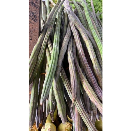 500g Sayur KOTEY MAMAK sedap masak sayur goreng celup tepung macam kat kedai mamak tu