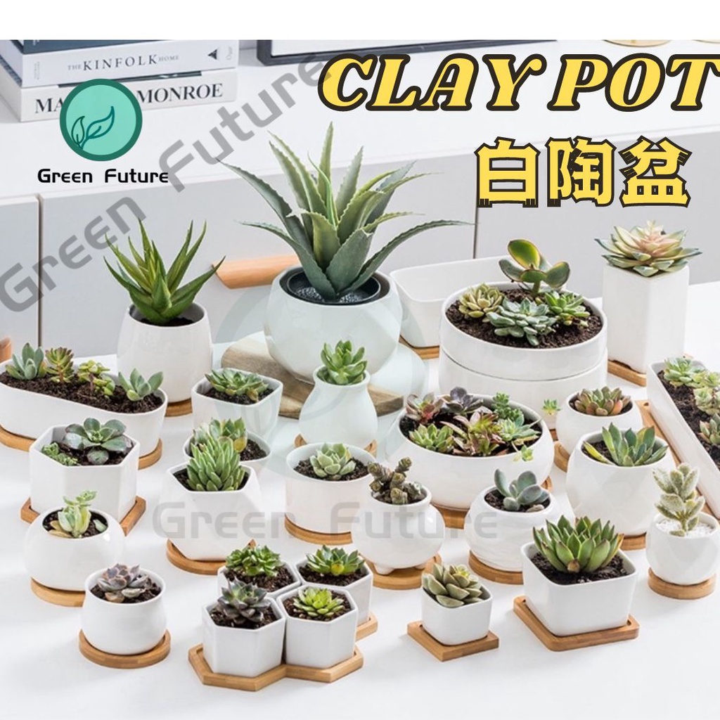 Succulent Pot Cactus Pot Ceramic Pot Zakka Minimalism Planter Pasu Seramik Putih kaktus flower pot 多肉花盆 陶瓷花盆 陶瓷盆 植物盆 白盆