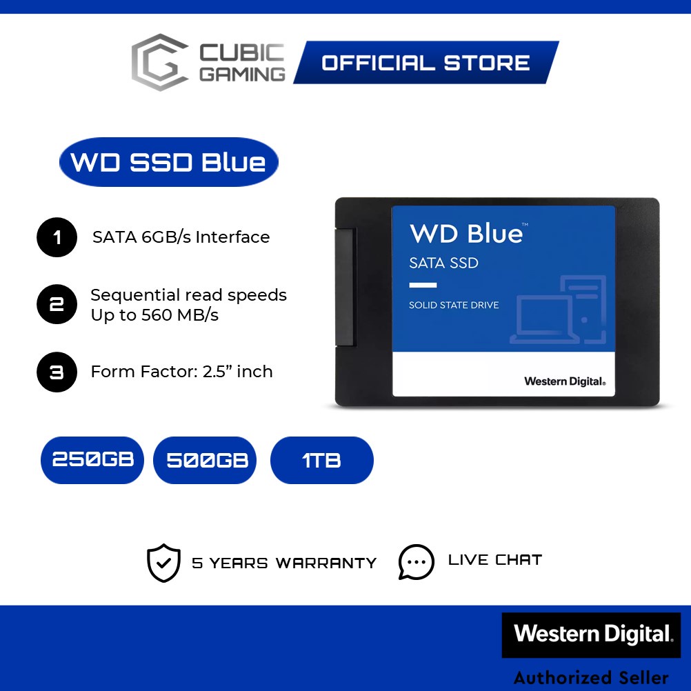 Western WD Blue 250GB Internal Solid State