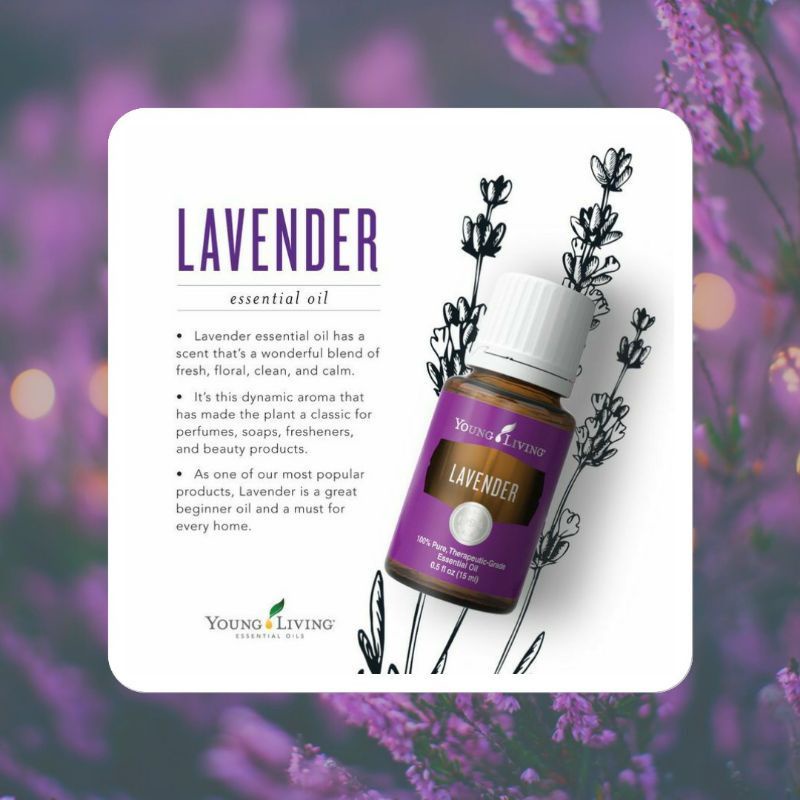 Young Living Lavender Essential Oil 5ml/15ml Shopee Malaysia