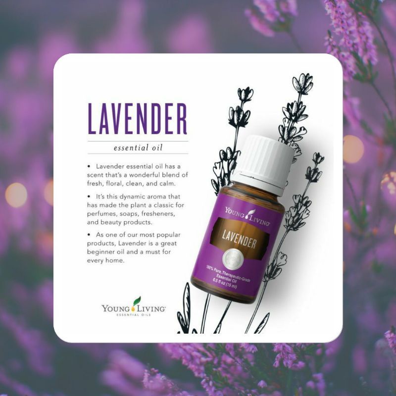 Young Living Lavender Essential Oil 5ml/15ml | Shopee Malaysia