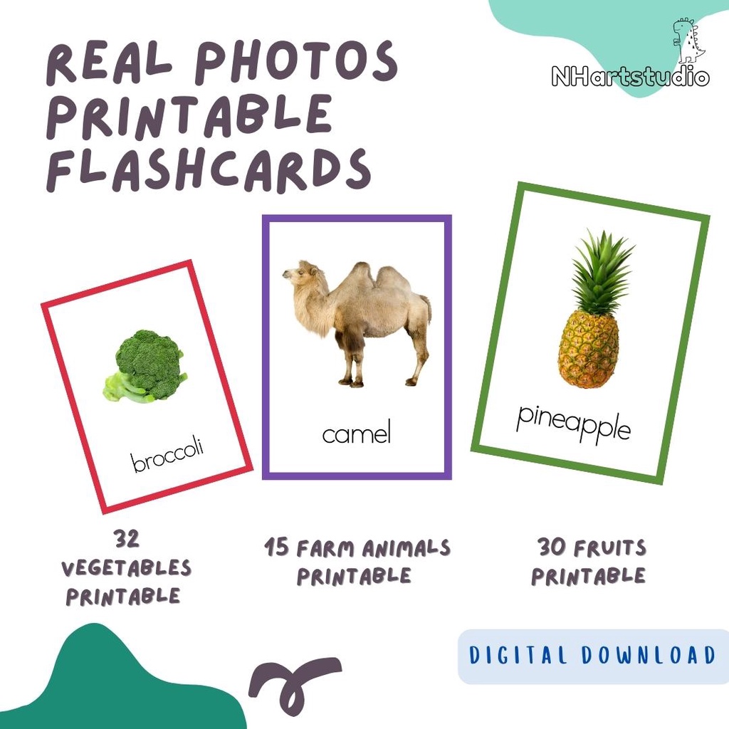 [PDF Soft Copy] Early Learning Flash Cards Real Photos Flashcards