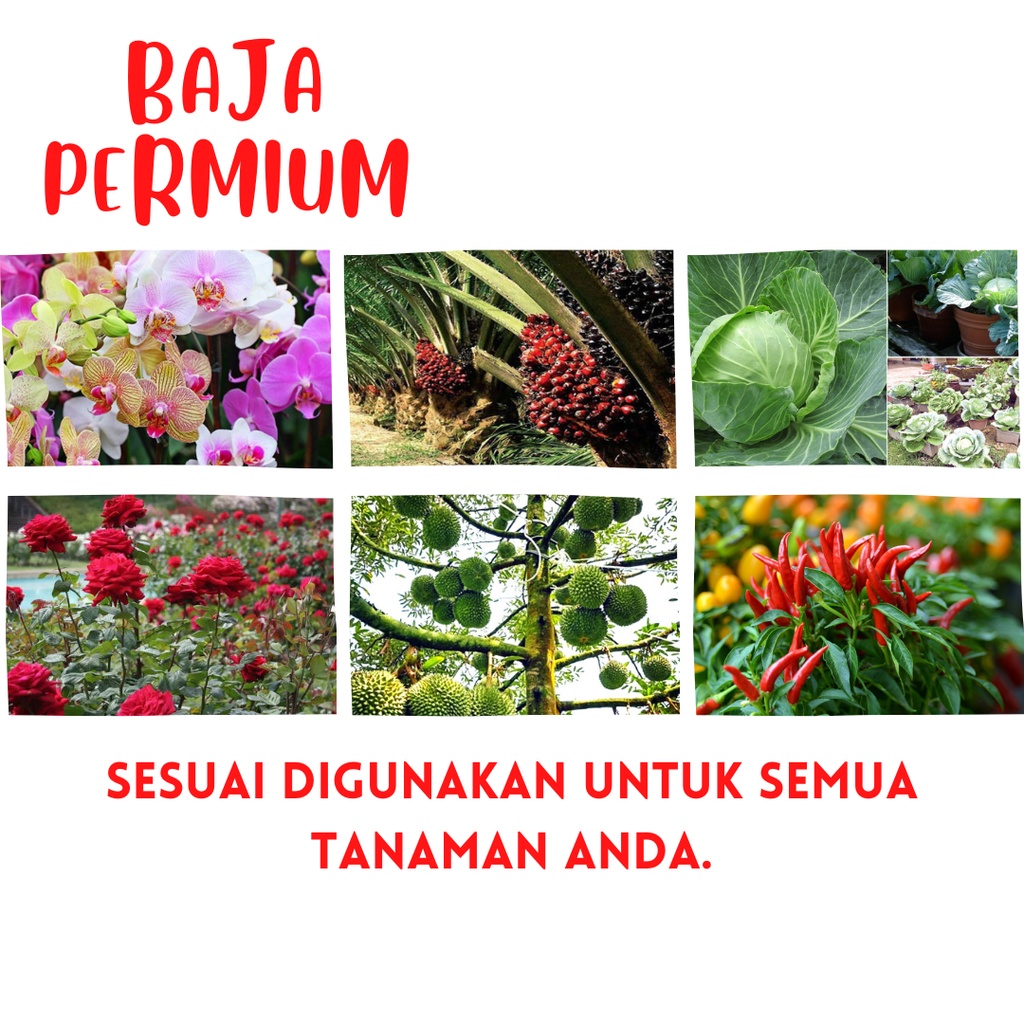 BAJA PREMIUM/BAJA IMPORT/BAJA ORGANIK/BAJA POKOK BUNGA/DURIAN DAN ...