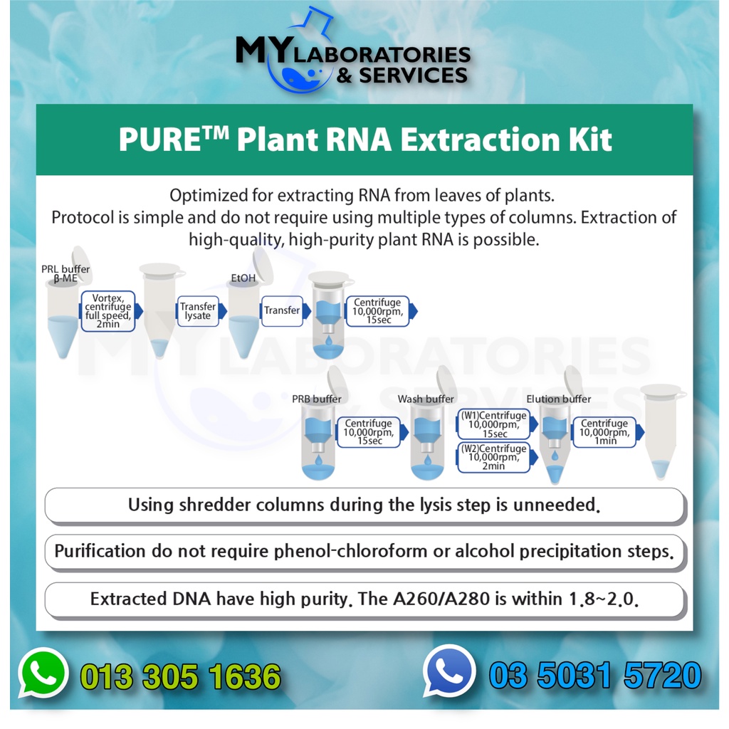 Infusion Tech Pure Plant RNA Extraction Kit 50 preps (PRG811) Shopee Malaysia