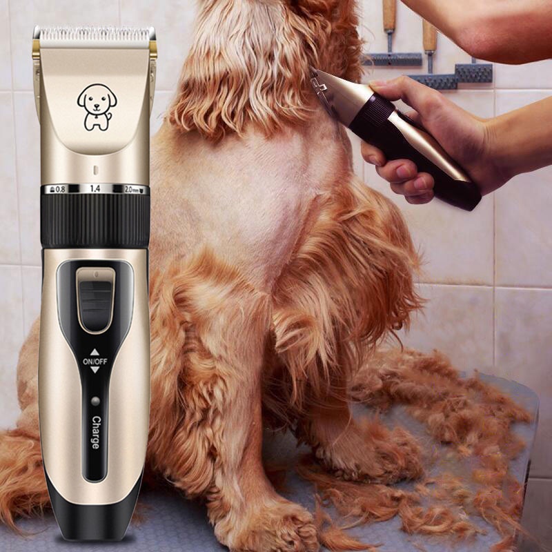 Professional Grooming Kit Animal Pet - Prices and Promotions - Mar 2023 |  Shopee Malaysia