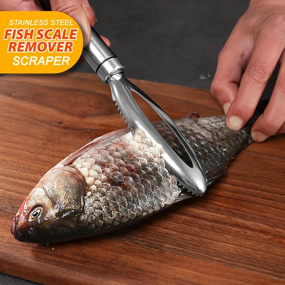 [[ FREE GIFT  Fish Scale Planer Scraper Scale Remover SUS304 Stainless Steel / Pengupas Sisik Ikan / 304