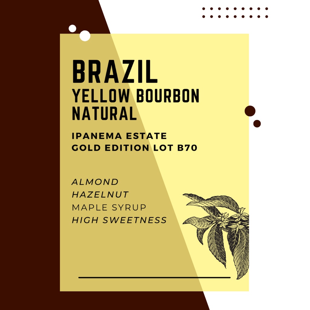 250g BRAZIL YELLOW BOURBON NATURAL / IPANEMA GOLD EDITION LOT B70 Arabica Premium Single Origin