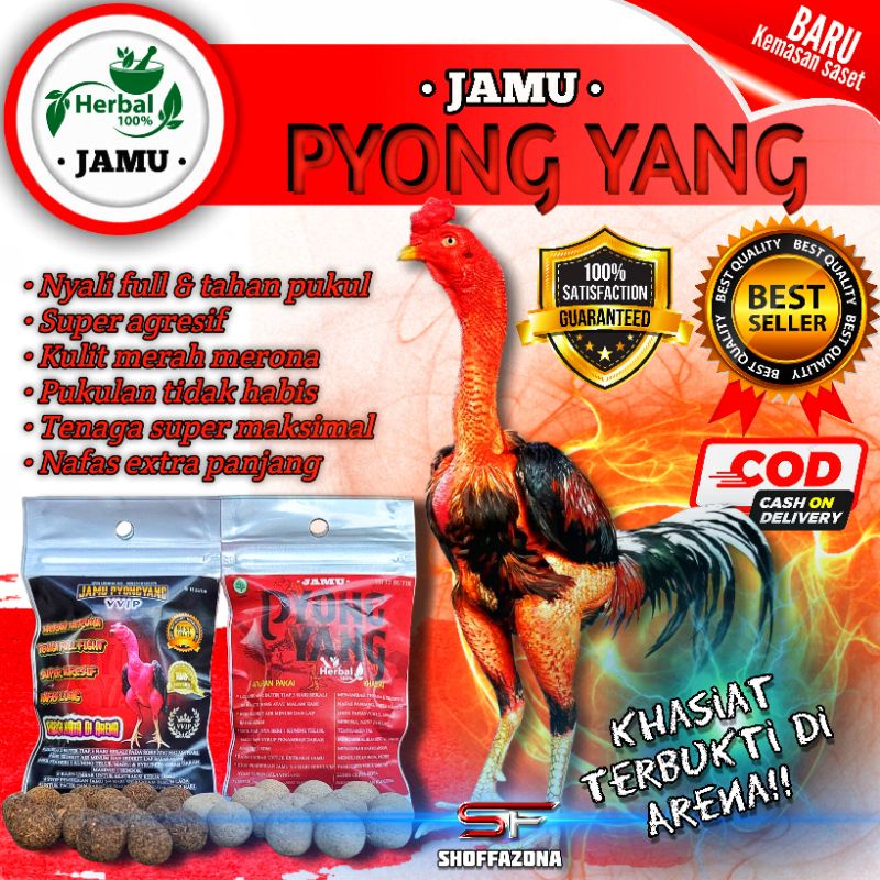HITAM Complaint Chicken Jamu, Complaint Chicken Doping, Black Pyongyang Jamu Vvip 15 Points