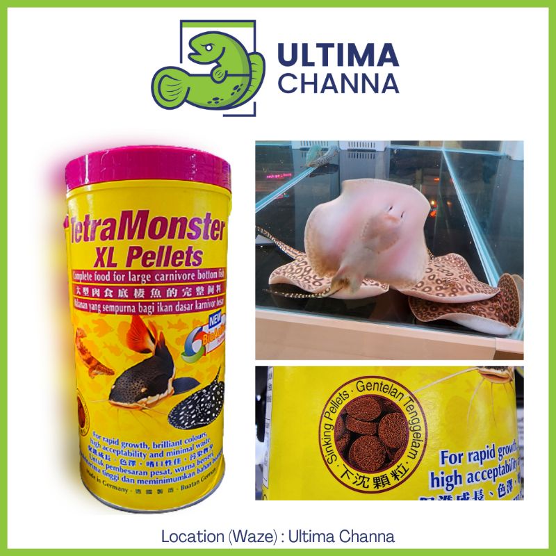 Tetra Monster XL Pellets 550g sinking fish pellet for bottom feeders