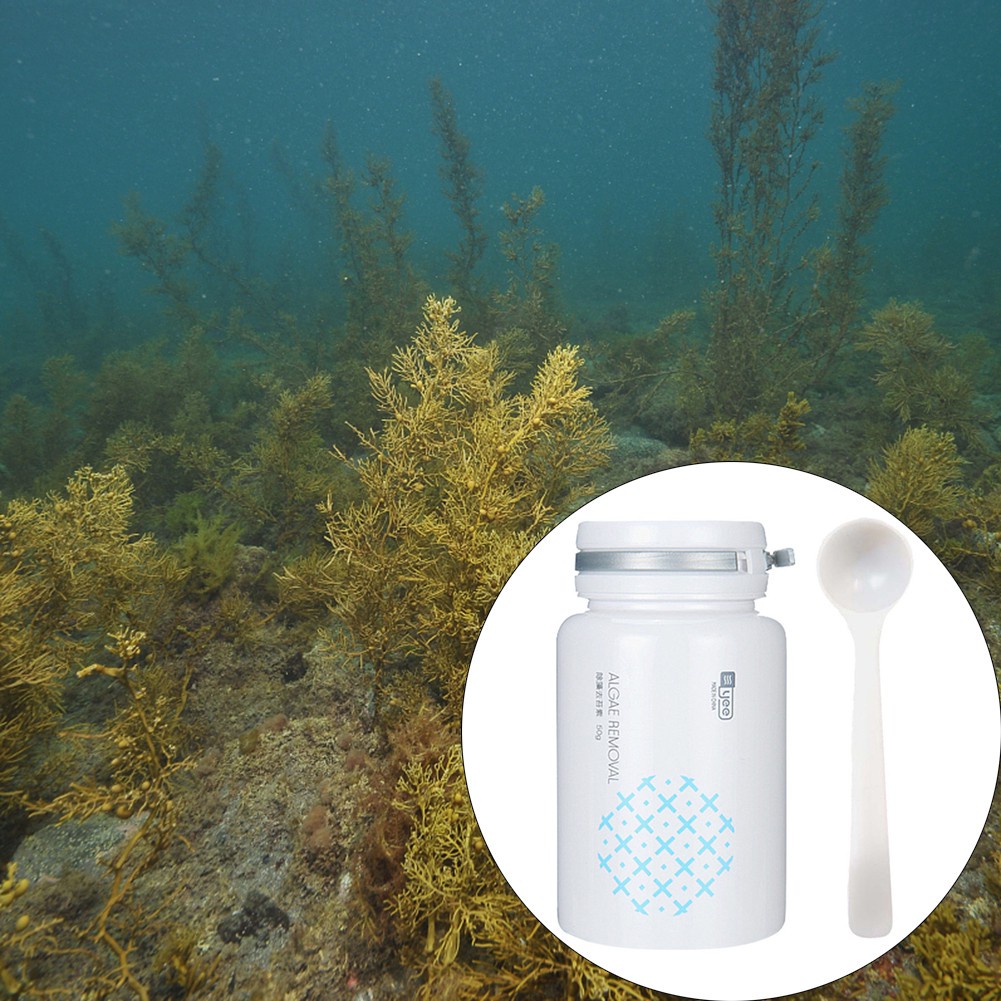 Premium Must Keep Your Fish Tank Sparkling Clean Our Moss Removal Kit Reliable Durable - Image 3