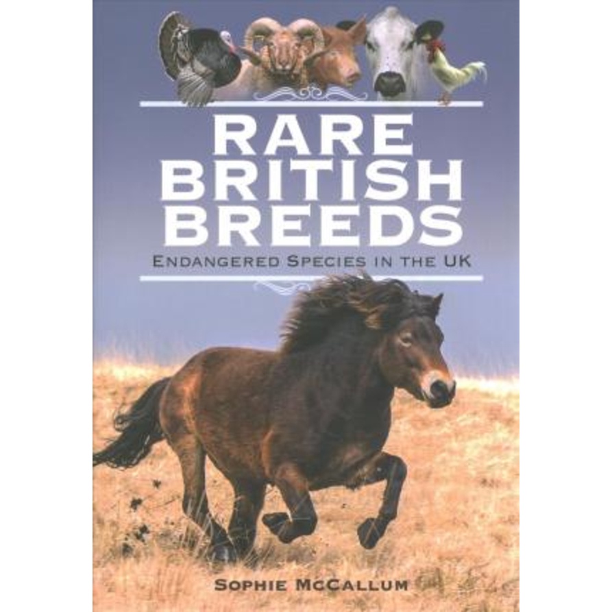 [English - 100% Original] - Rare British Breeds : Endangered Species in the U by Sophie McCallum (UK edition, hardcover)