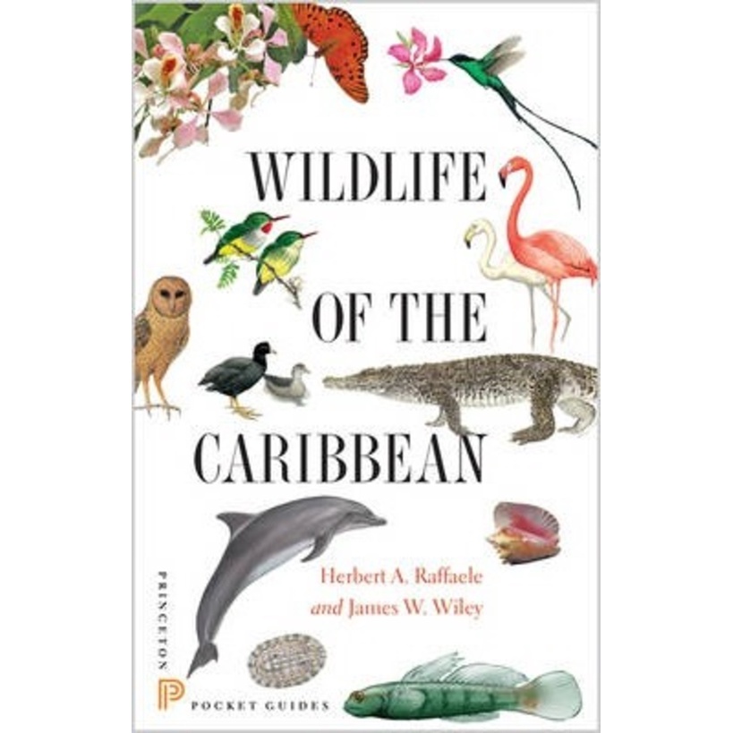 [English - 100% Original] - Wildlife of the Cari by Birds of the West Indies Herbert A. Raffaele (US edition, paperback)