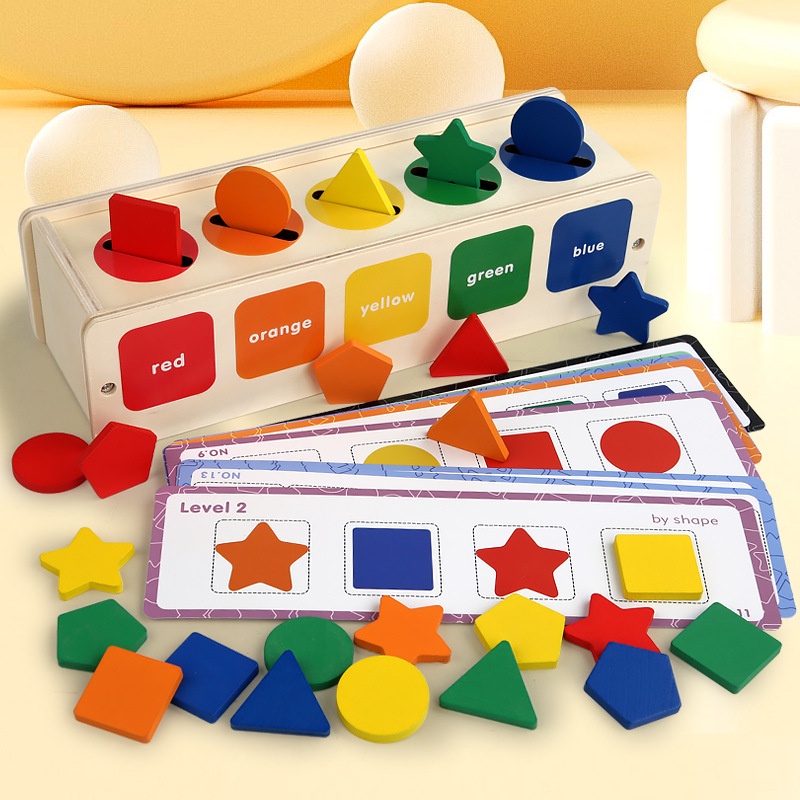 LIQU Montessori Toys 2 in 1 Shape Toys Color&Shape Sorting Learning ...