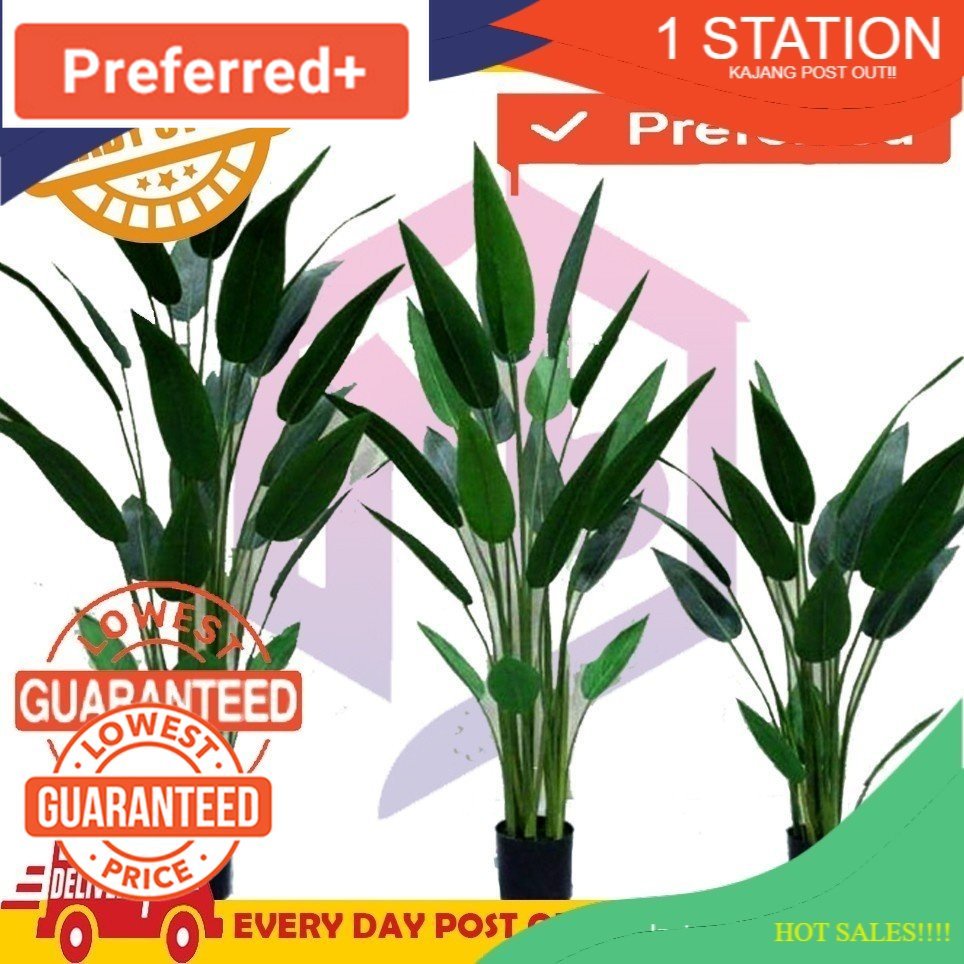 READY STOCK MALAYSIA!!!PREMIUM SKYBIRD HOME DECOR / POKOK HIASAN VIRAL