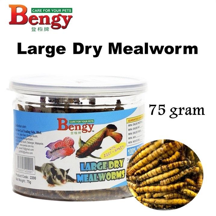 Bengy Dried Large Dry Mealworm (75g) Snack for Flowerhorn/ Arowana