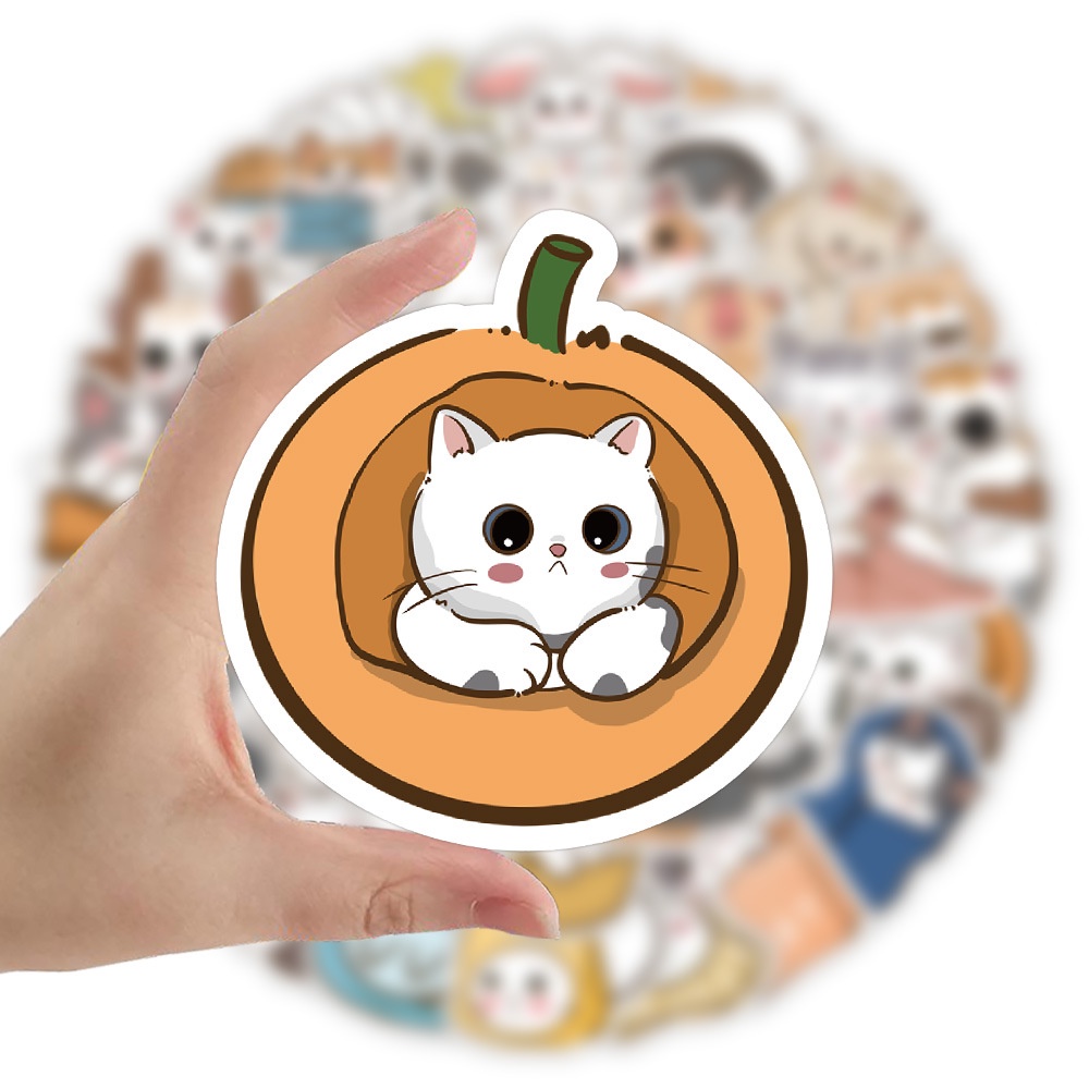 bg