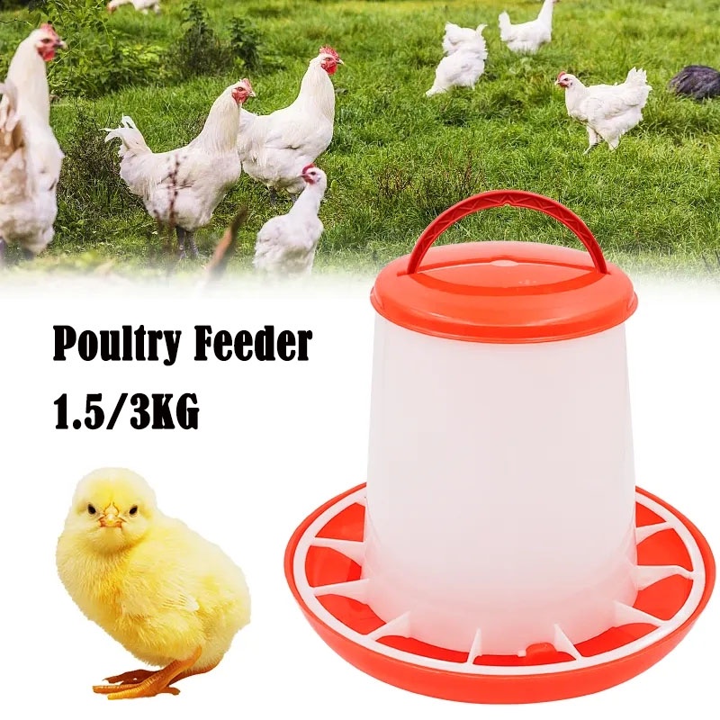 1.5/3KG Poultry Feeder Chicken Bucket Automatic Drink Feeding Goose Animal Fodder Barrel Container Tools Bekas Makanan Ayam