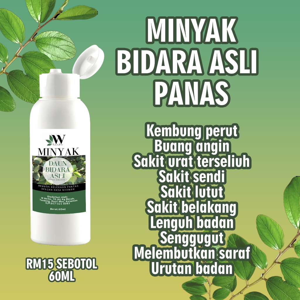 Minyak Urut Panas Daun Bidara Asli  Halia Serai Tomoi Muay Thai Unta Kasturi Kijang Herba Urut Massage Oil Kayu Putih