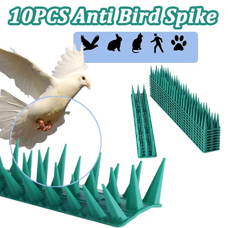 10PCS Anti Bird Spike Weather Resistant Durable Pigeons Cat Squirrel Deterrent Thorn Effective Bird Repellent Thorn for Yard Farmhouse Anti Climb Spikes Fence Wall Security