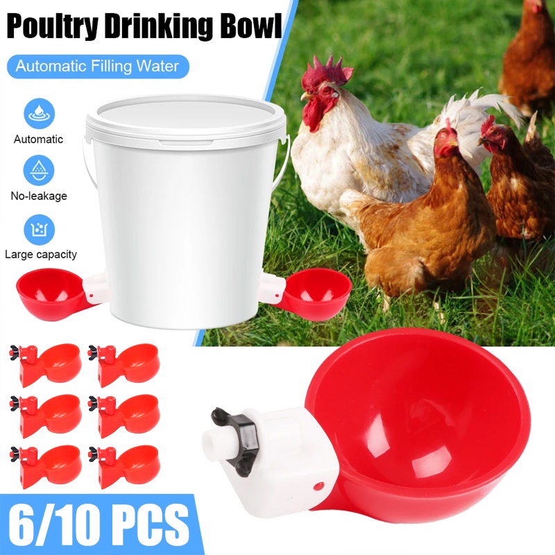 【SHIP IN 48H】6/10pcs Automatic Poultry Drinker Bowl Chicken Bird Water Cup Bowl Kit Farm Coop Poultry Hanging Drinking Water Feeder