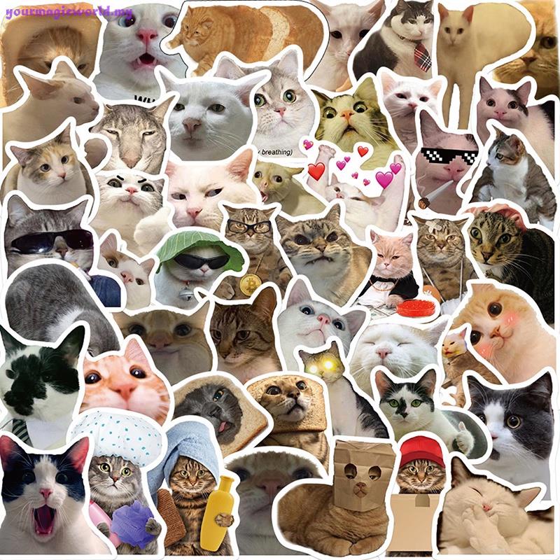 10/50PCS Cat MEME Funny Animals Stickers Vintage Toy DIY Kids Notebook Luggage Motorcycle Laptop Refrigerator Decals Graffiti