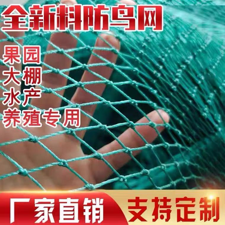 Chicken Cage Net Orchard Anti-Bird Sky Net Protective Net Breeding Grape Garden Greenhouse Protective Net Fruit Tree Anti-Bird Nylon Net Fish Pond Top Net