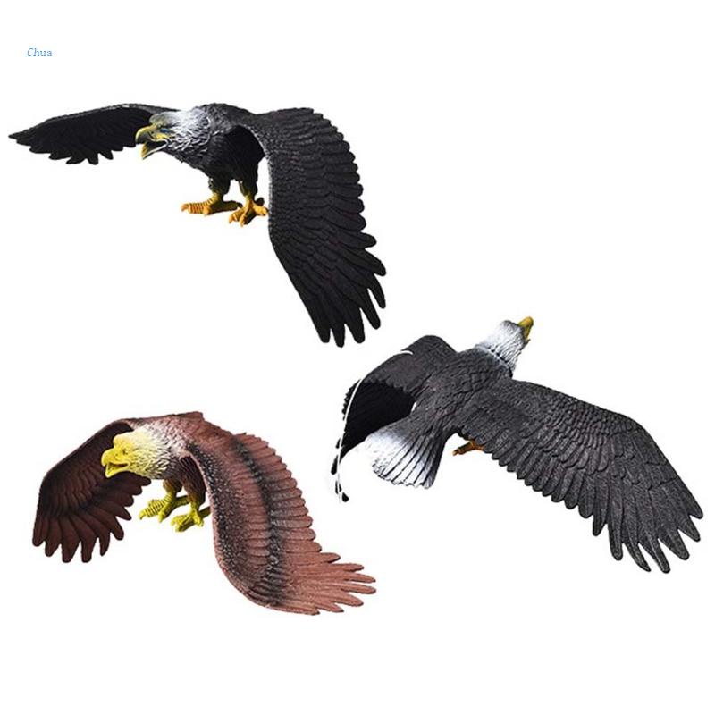 Chua 15inch Realistic Flying Eagle Model Figurine Solid Static Figure Animal Bird Figures Interactive Desktop Decoration