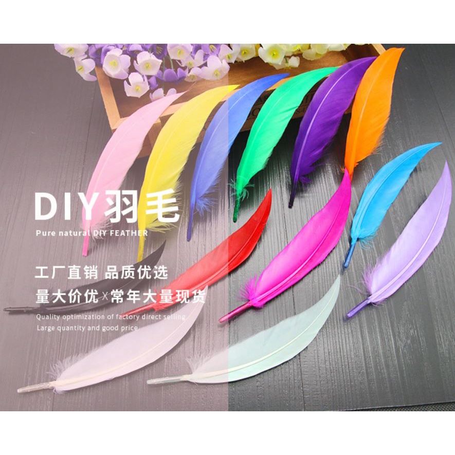 2pcs DIY Small Machete Feather Color Feather Handicraft Jewelry Accessories (2129L)