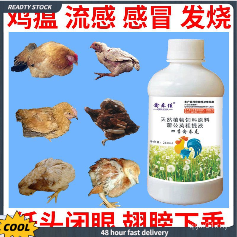 ✅热销推荐✅al roup medicine against Newcastle disease of chickens禽泰克鸡鸭鹅鸽感冒呼噜咳嗽抗病毒鸡瘟药防新城疫小鸡药qijin01.my