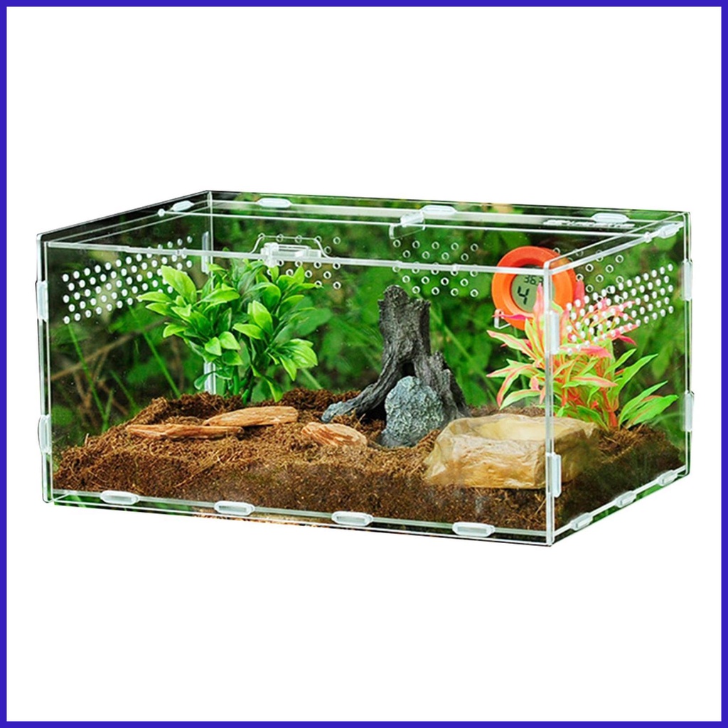 Reptile Terrarium Snake Feeding Breeding Box Transparent Tarantula Enclosure House Terrarium Cage Tank for coelmy coelmy