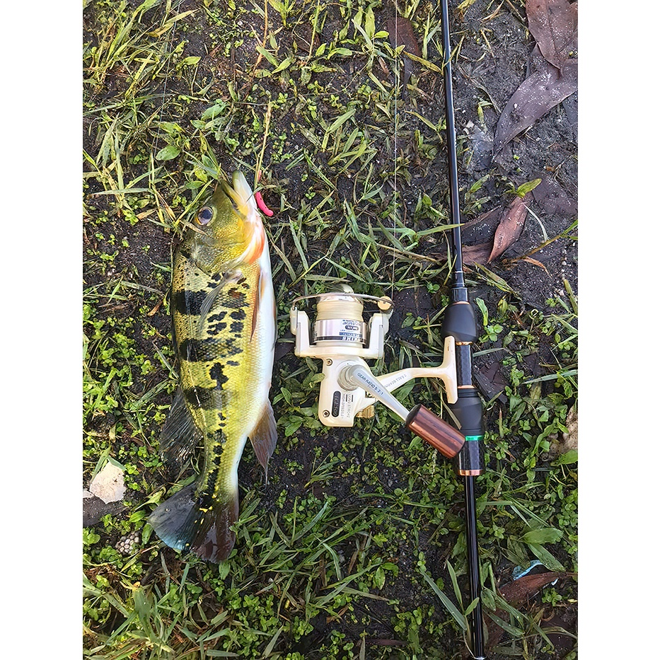 Reliable Premium Artemis 1.5m/1.68m/1.8m/1.98m UL Power Fishing Rod Solid Tip Micro-jigging Ultra Light Spinning Ultr... - Image 4