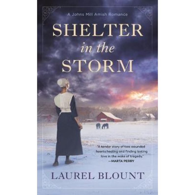 [English - 100% Original] - Shelter In The Storm by Laurel Blount (US edition, paperback)