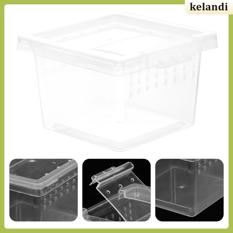 Acrylic Tarantula Enclosure Reptile Storage Case Insect Rearing Box Turtle Gecko kelandi.my