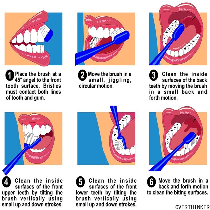 Premium Versatile Ubat Gigi Teeth Whitening Putih Toothpaste White Fresh Breath Niacinamide Toothpaste100g - Image 3