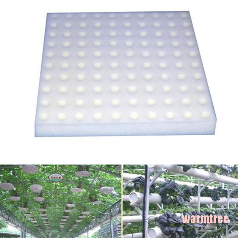 Durable Reliable (Warmtree) 100 Pcs Soilless Hydroponic Vegetables Nursery Pots Sponge Culture Premium - Image 5