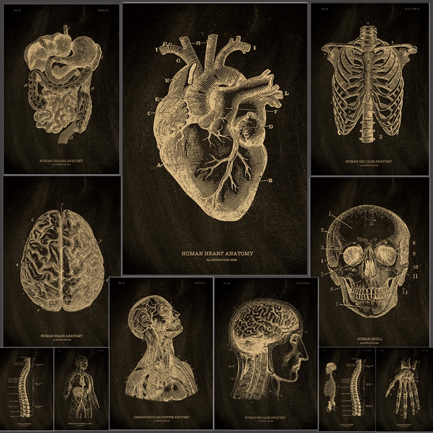 DLKKLB Kraft Paper Poster Chalkboard Anatomical Skeleton Vintage Home Room Medicine Student Decor Medical Art Wall Decoration