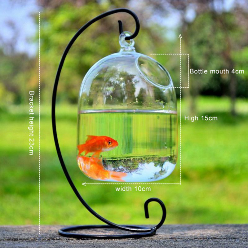 Durable Reliable Mini Glass Fish Tanks Hanging Aquarium Bowl Ball Terrarium Premium Essential - Image 3
