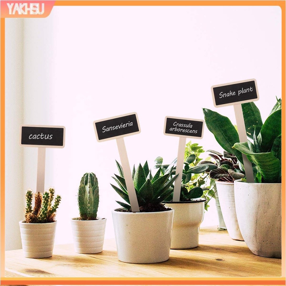 Durable Versatile (yakhsu) 20Pcs Wooden T Shape Vegetables Plant Pot Labels Tags Garden Chalkboard Decor Purpose Premium - Image 5