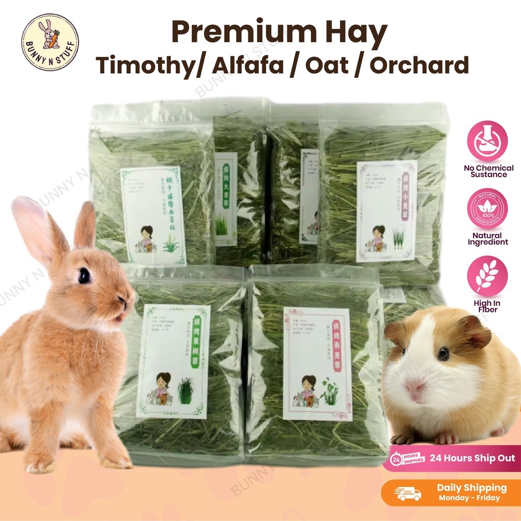 Premium Wheat grass/ Timothy/ Alfafa / Oat / Orchard hay 500g rabbit chinchilla guinea pig food feed Timothy Hay