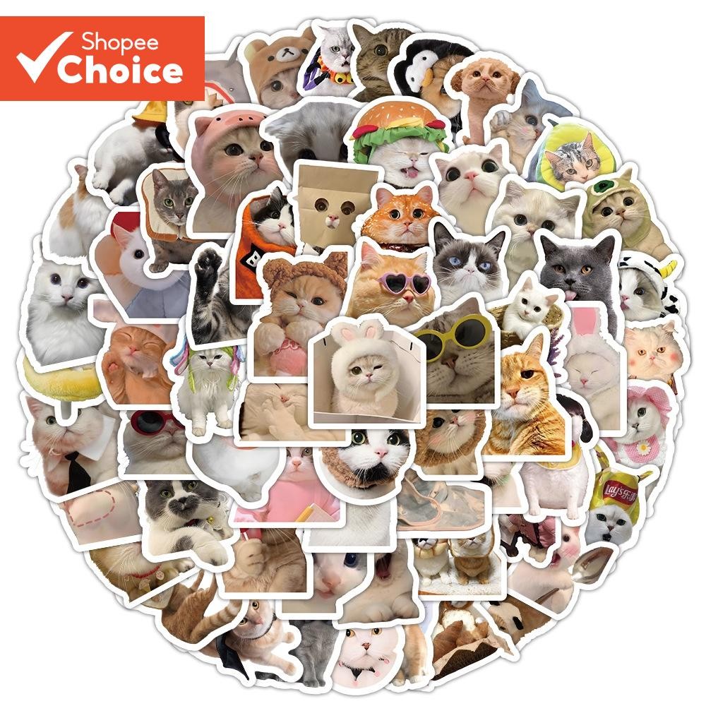 100PCS Realistic Cat Stickers - Waterproof Vinyl Decals for Helmet, Bicycle & Pencil Case (Cute Cartoon)