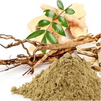 Serbuk Tongkat Ali 100g Akar Ali Pasak Bumi Asli Eurycoma longifolia Long Jack Supplement Lelaki