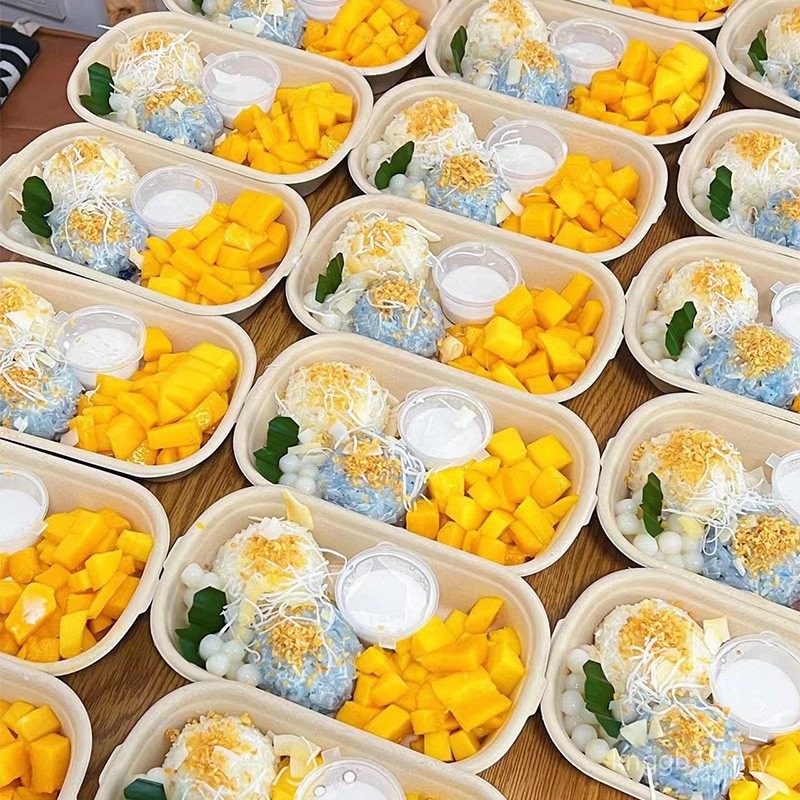 Kotak Pembungkusan Pulut Mangga Penutup Susu Sagu Mangga Kotak Makan Tengahari Pulut Bawa Pulut Kotak Kek Bento