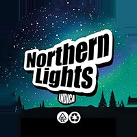 Versatile Purpose 100pcs Round Wax cbd Container Clear Plastic Jars Lids Laser Stickers Storage Boxes Empty Cosmetic ... - Image 2