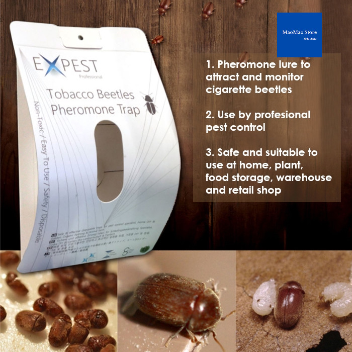 EXPEST Tobacco Beetles Pheromone Trap Perangkap Pheromone Kumbang Penangkap Kumbang