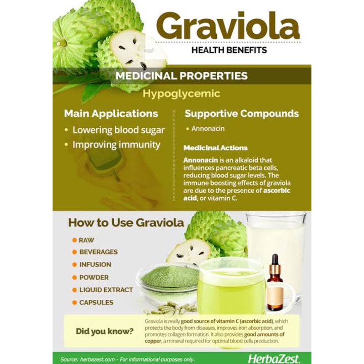 Travel Portable ELIF TEA Graviola Teh Daun Sirsak Soursoup Leaves Pure Herbal Series 30 Bag v1 Chic Daily - Image 4