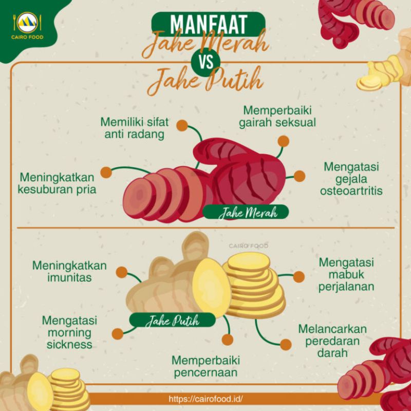 Portable Style Red Ginger Tea : Teh Jahe Merah Pure 100% Organic 30 Bag x1 Chic - Image 2