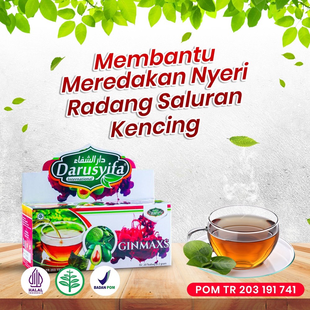 Teh Celup D Gin Detok Ginjal Darusyifa Teh Alami Daun Sukun Plus Daun Alpukat Obat Atasi Rematik Asam Urat & Batu Ginjal