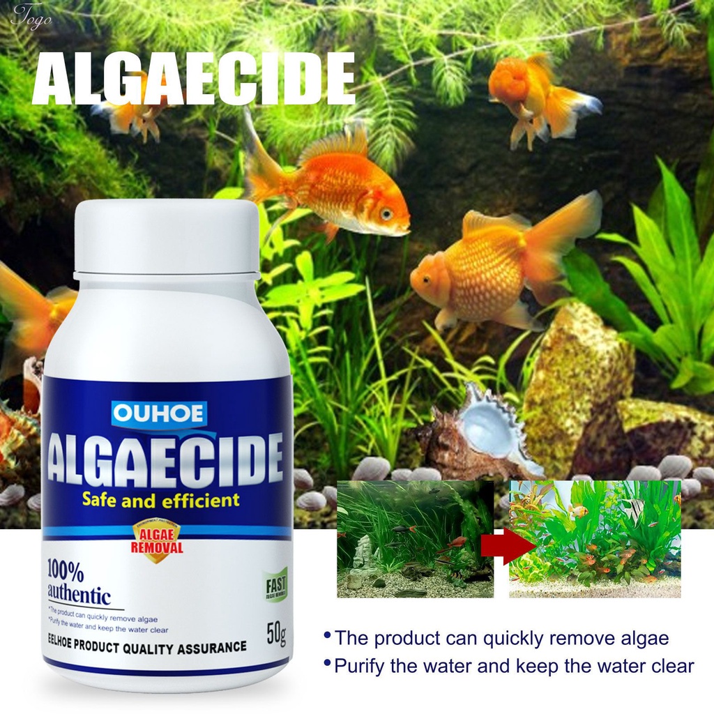 Reliable Quality 50g Tank Moss Remover High Efficiency Algaecide Algae Reduce Control Water Purification Safe Efficie... - Image 3