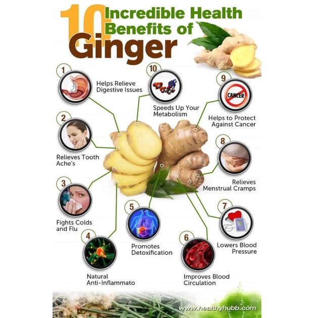 Outdoor Travel ELIF TEA Ginger Turmeric Teh Jahe Kunyit Pure Herbal Series 30 Bag v1 - Image 4