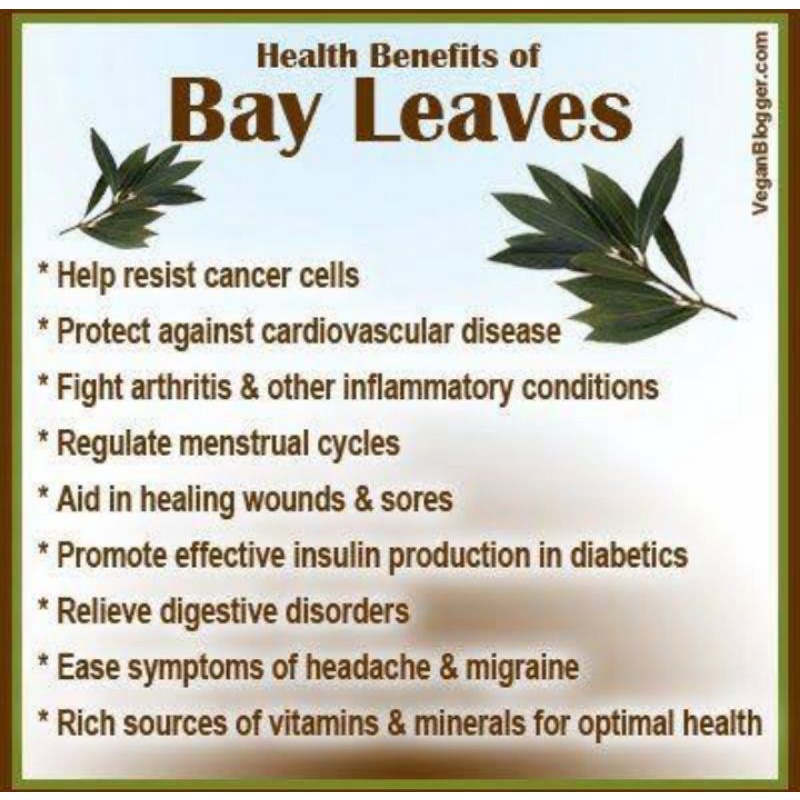 Accessory Casual ELIF TEA Bay Leaves Daun Salam Pure Herbal Series 30 Bag v1 Portable - Image 2